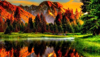 The true reality behind that mesmerising glitter