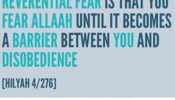 Desire-Based Fatwas for Friends, Allies and Loved Ones