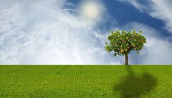 The friend who, whenever you complain, says: “Let this reflection bear fruit”