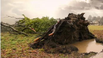 Tabdee without proof – By Imam Muhammad Ibn Salih Al-Uthaymin