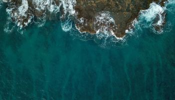 Repentance is an Obligation – Imām al-Barbahārī and Shaykh Ṣāliḥ al-Fawzān