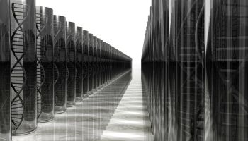 [1] Two Essential Matters for Establishing the Call to Allah’s Path: By Al-Allamah Rabee