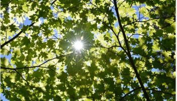 [2] The one who truly applies this will not utter false Tabdee