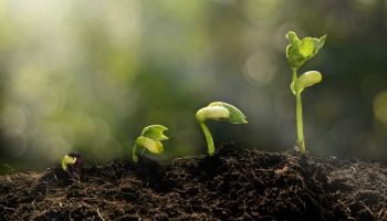 Sensible Private Conversation Between Three Salafi Brothers of Different Age Groups