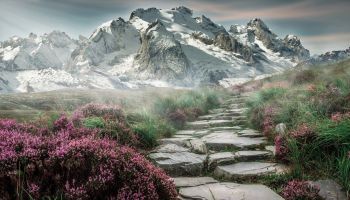 Through the Wilderness of Sorrow and Isolation, Toward the Manifestation of Joy