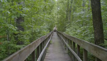 Respectful and Kind Treatment is Neither a One-way Street Nor a Monopoly